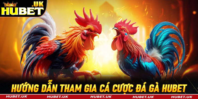 Hướng dẫn các thao tác tham gia cá cược đá gà Hubet cho người mới nhập môn